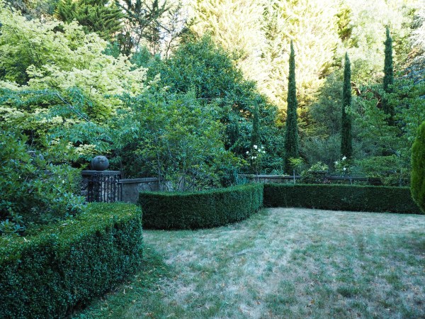 Italian cypress and neatly clipped hedges for classical garden design #gardendesign