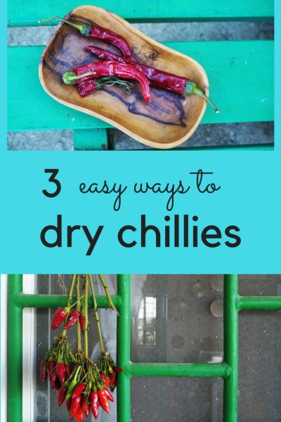 Three easy ways to dry chillies - hang your chilli plant upside down, make a festive chilli string or oven dry your chillies