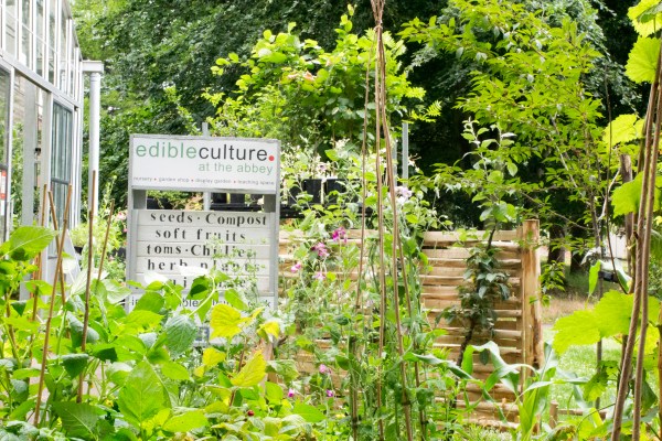 How to create an easy sustainable garden