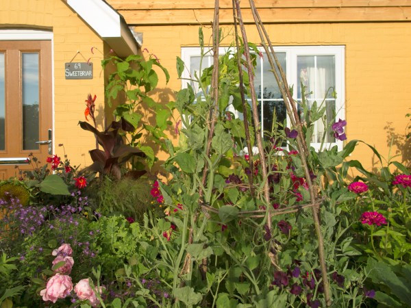 Put your vegetable garden in the front of the house.