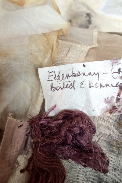 Elderberry plant dye