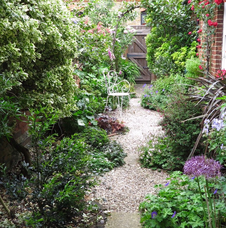 Shady garden with abundant planting