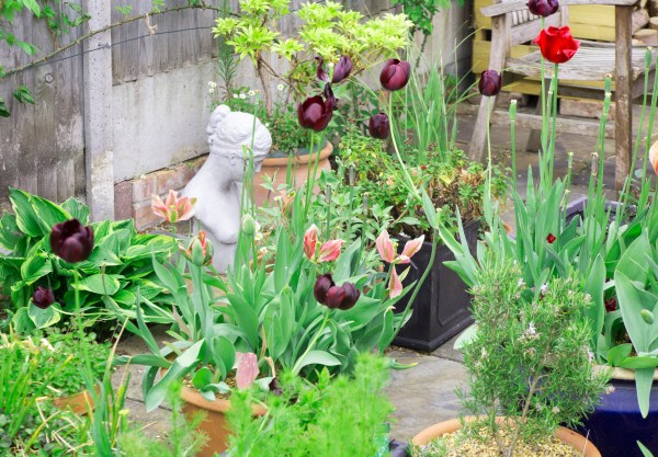 Statue and pots