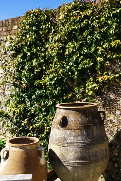 The ultimate low-maintenance garden pot