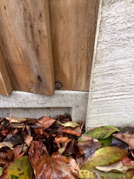 Fencing with gravel boards prevents wildlife from accessing gardens. Make a hole or plant a hedge instead. #sustainableliving #garden