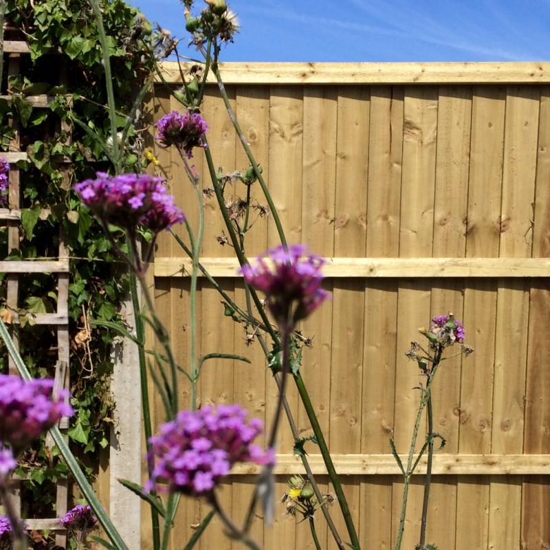 The back of a fence