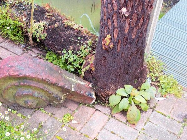 Recycle broken furniture in the garden