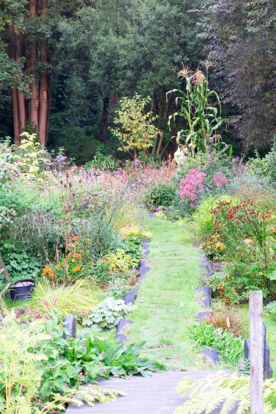 Long thin damp garden