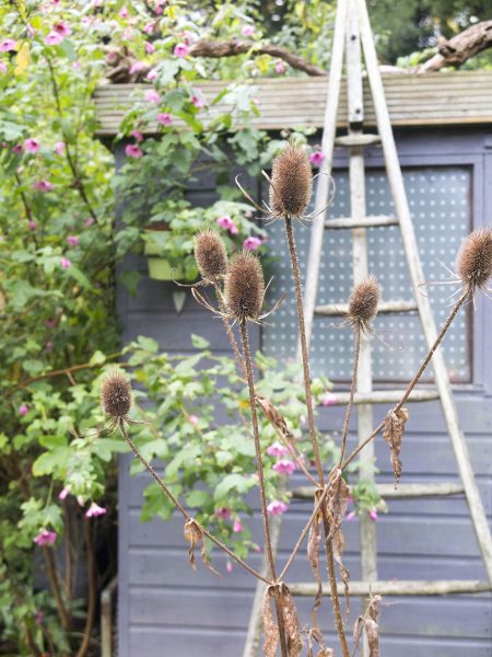 What colour to paint your shed - lots of good colours and inspiration from real sheds #shedprojects #sheds