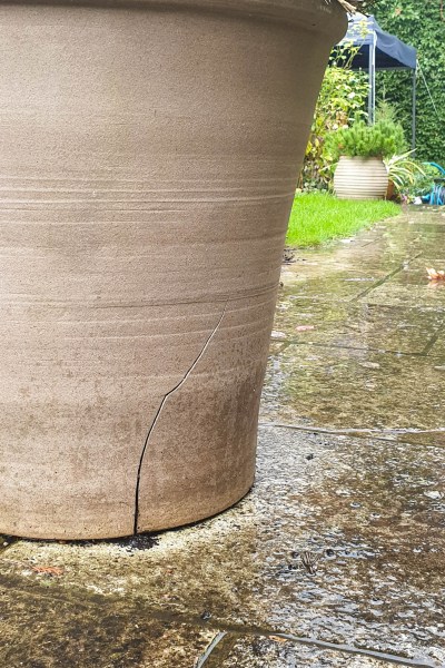 Save money on garden design by buying 'seconds' or sale pots