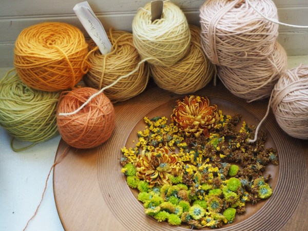 Flower heads from a bouquet saved for dyeing