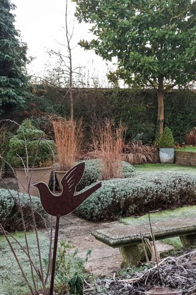 Frosty garden scene