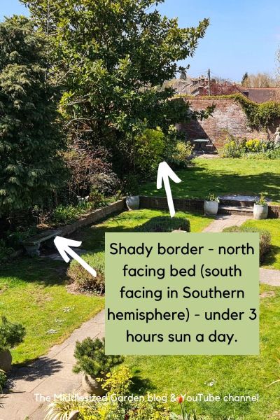 Shady border