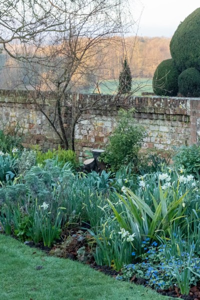 How to plant spring bulbs with a theme