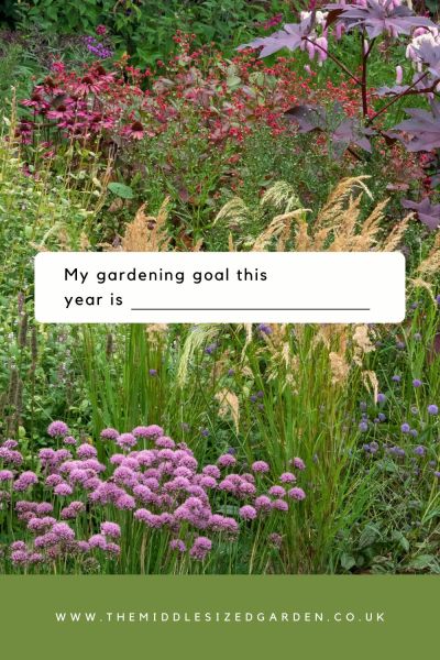 Writing down your gardening goals will give you good ideas on how to improve your garden