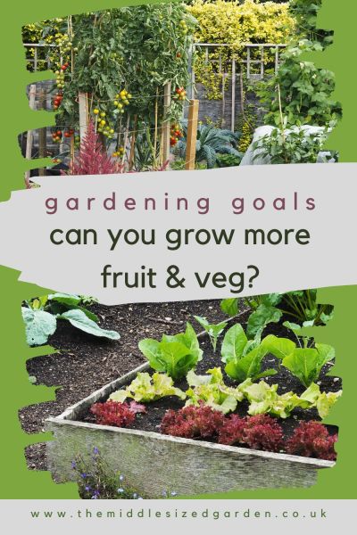 'Grow more fruit & veg' is one of the most popular gardening goals - wht would stop you achieving it?