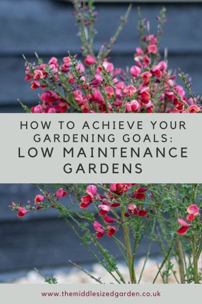 Low maintenance plants can be pretty as well as easy care.