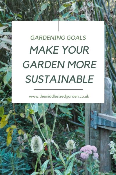 Make your garden sustainable this year