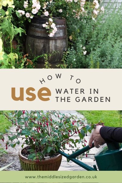 A water butt is a useful thing to have, but it's never the complete answer to saving water in the garden!