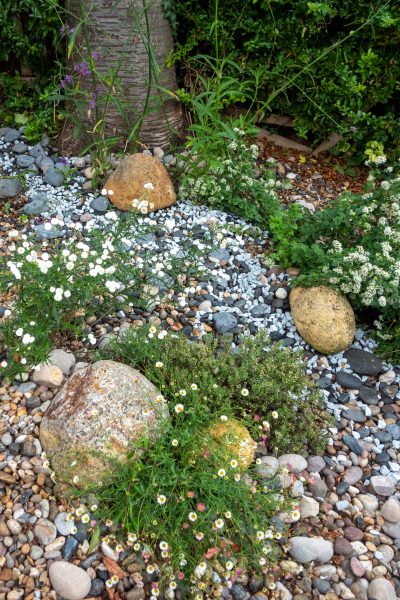 Use gravel to make a shady garden lighter