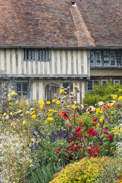 How to plant a border - tips from professionals #garden #gardening