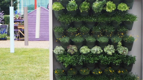 Grow salads and leaves on a living wall