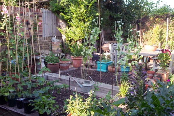 Where to put your kitchen garden.