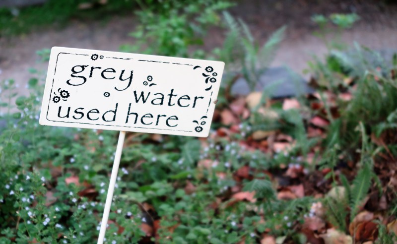 'Grey water' re-used from the house waters the garden