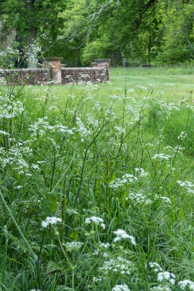 Vary your mowing times