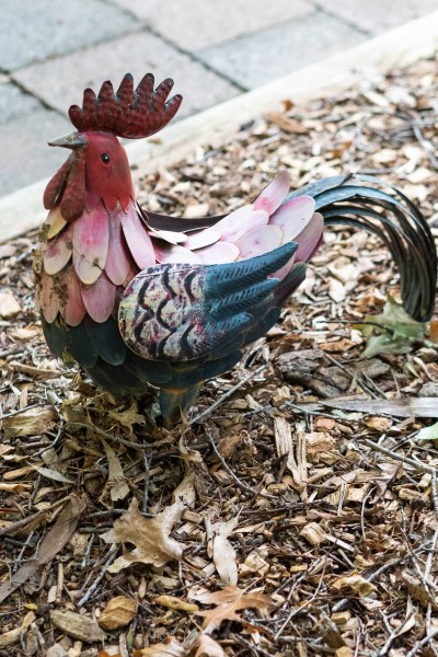 Hen garden ornament