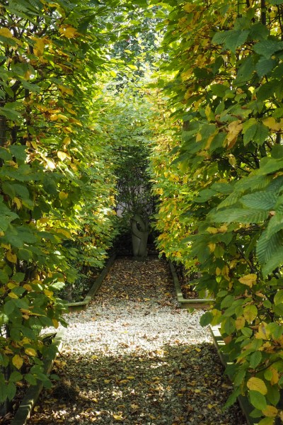 Hedges improve air quality and support wildlife #sustainableliving #garden