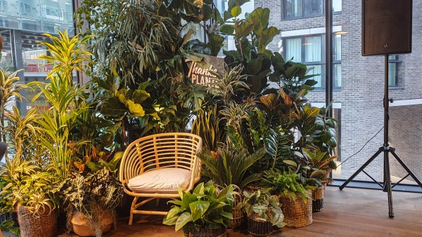 Houseplant installation