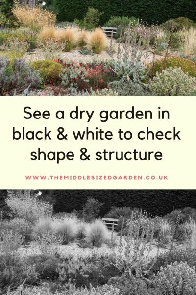 Use shape and structure in a dry garden