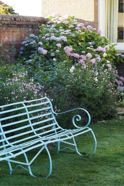 Hydrangeas in a mixed border