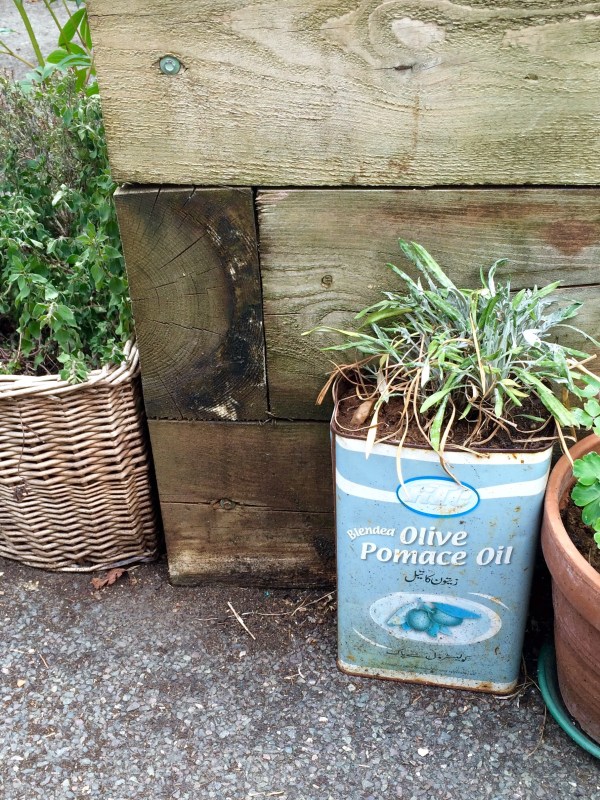 Re-use old tins and baskets as container gardens