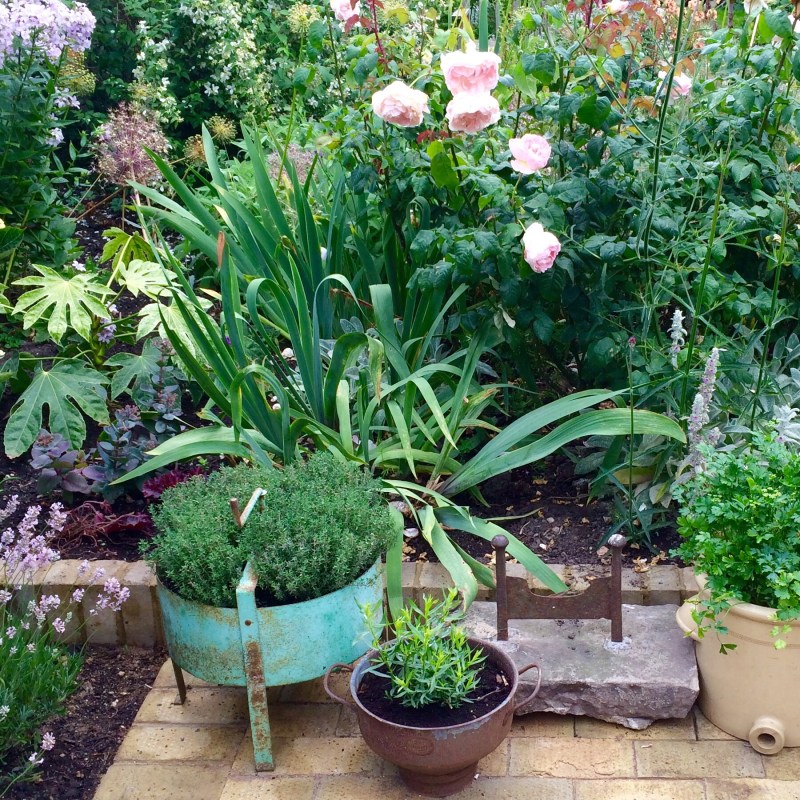 Herb garden in upcycled containers