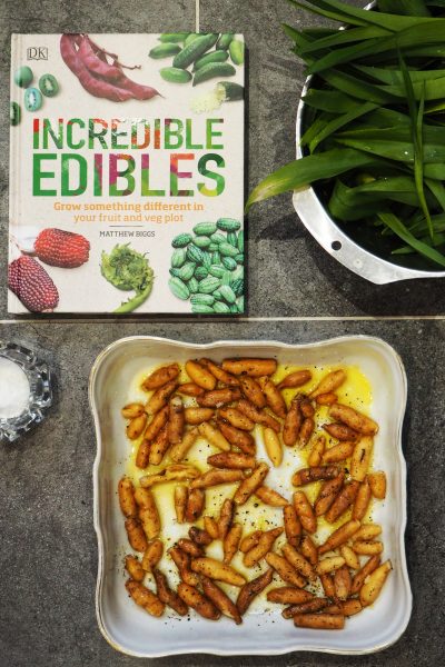 Incredible Edibles by Matthew Biggs (DK Books)