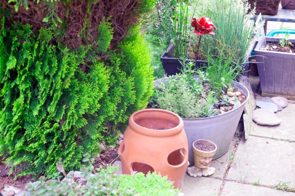 Upcycled and vintage pots and troughs