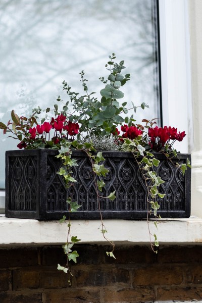 Water a winter window box when it's in situ