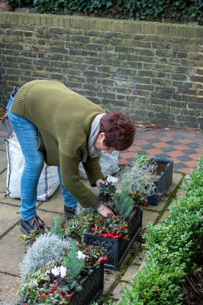 Jane Beedle's winter pots