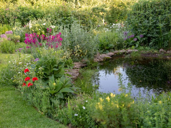 Dig your own garden pond