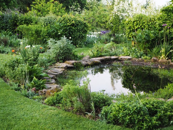 Do you want a natural-looking pond or a designed one? #backyard #gardendesign