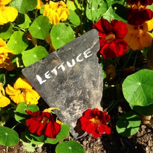 Roof tiles as labels