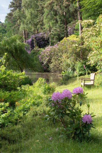 Bench overlooking the lake at Leonardslee