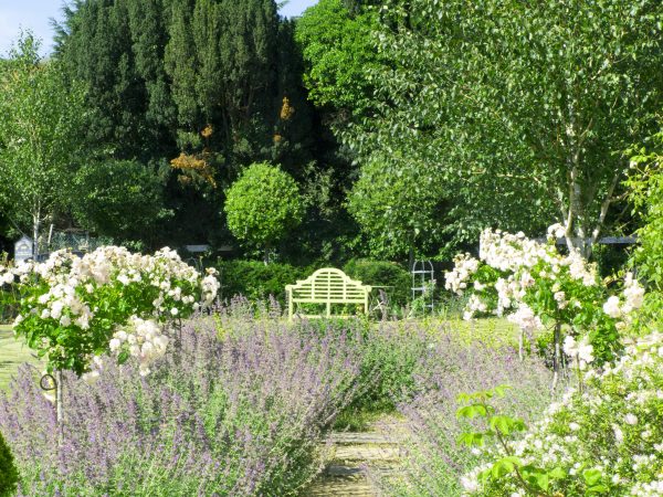 Benches as focal points in smaller gardens