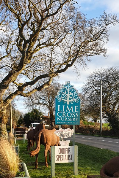 Lime Cross Nurseries