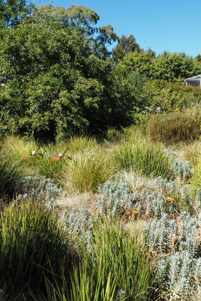 A grey water garden watering system #gardening #backyard