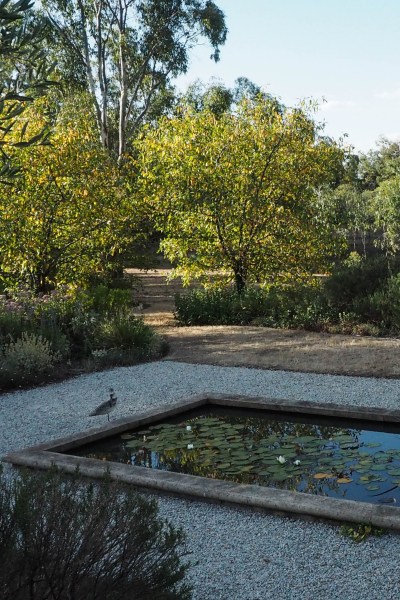 A garden pond made of local materials