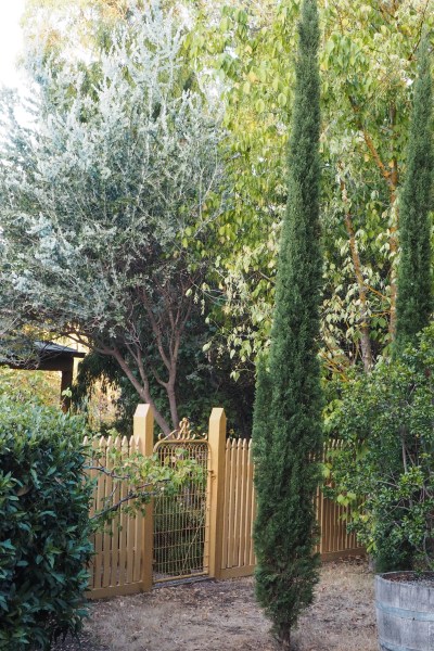 Paint your gate and fence #gardendesign