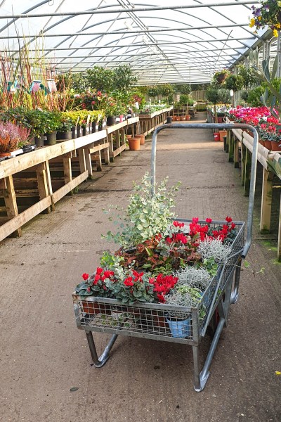 Shopping for plants at Meadow Grange